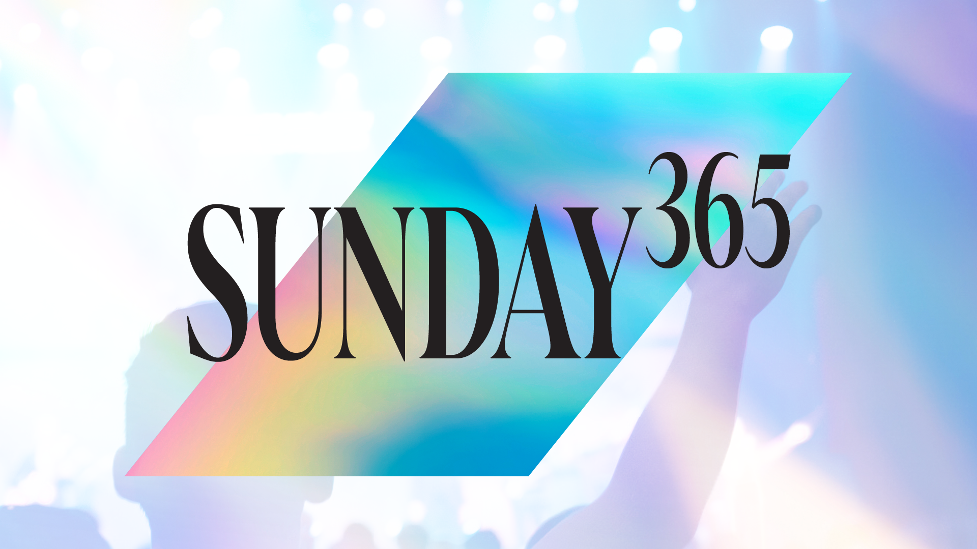 Sunday 365